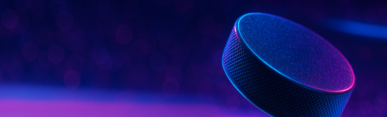 Самая быстрая шайба